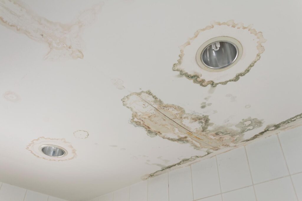 7 Tips for Mold Remediation After Water Damage