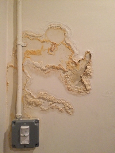 A wall with a water damage stain.