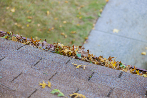 A roof with a clogged gutter is a source of water damage