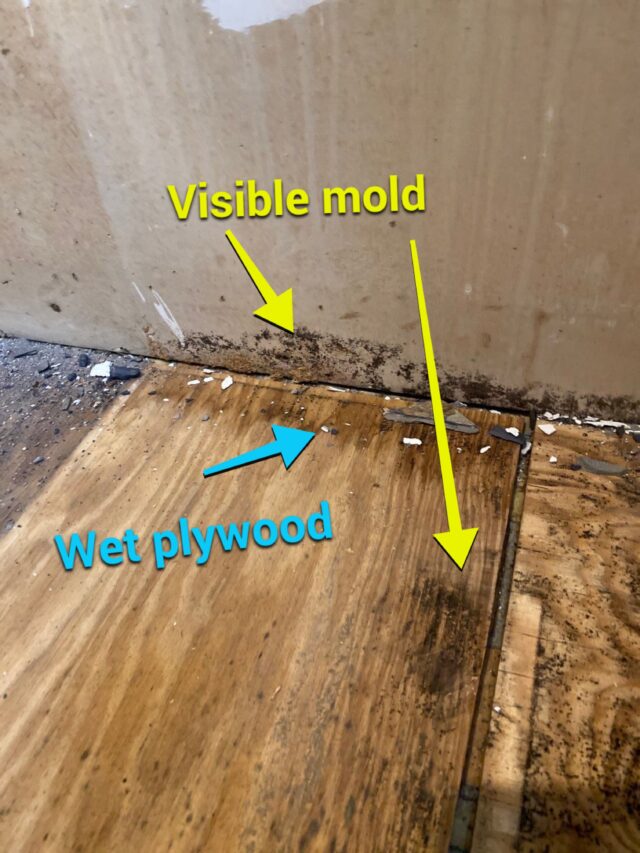 Mold growth in Port Jefferson Station residential kitchen.